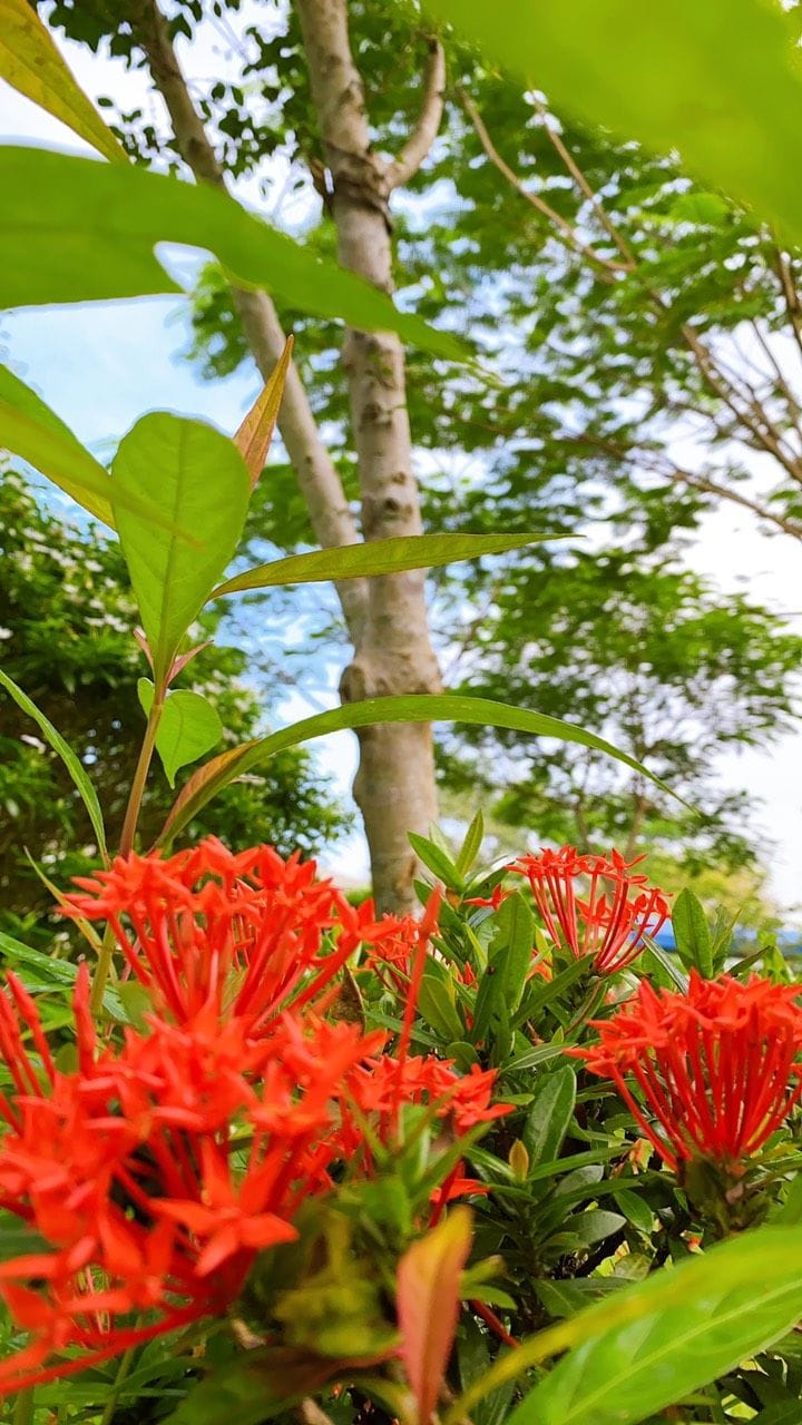 NGÀY HỘI ĐOÀN KẾT 2025