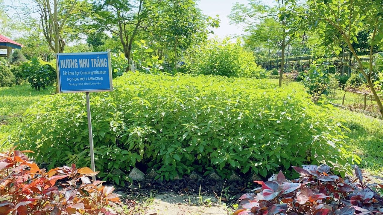 NGÀY HỘI ĐOÀN KẾT 2025