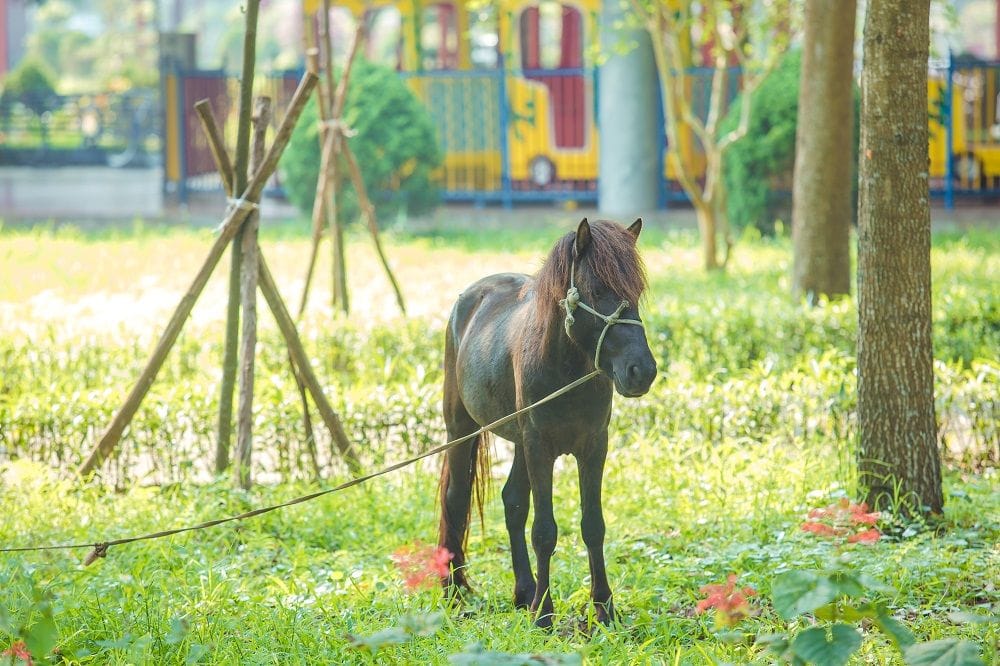 NGÀY HỘI ĐOÀN KẾT 2025